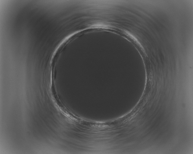 X0000082941323200702152204