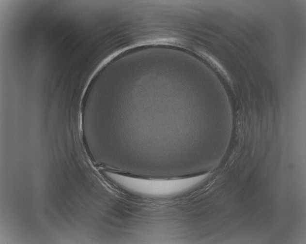 X0000082941324200702152204