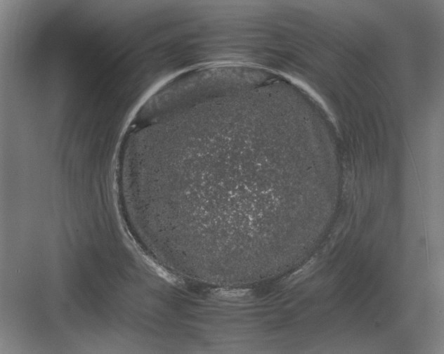 X0000082941325200702152204