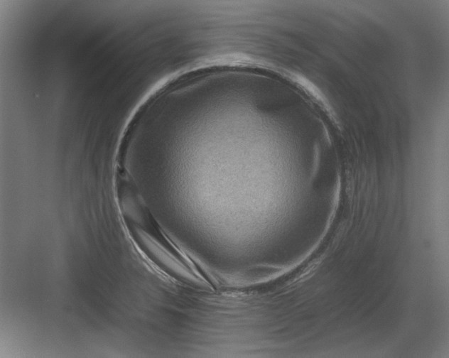 X0000082941326200702152204