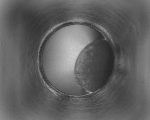 X0000082941327200702152204