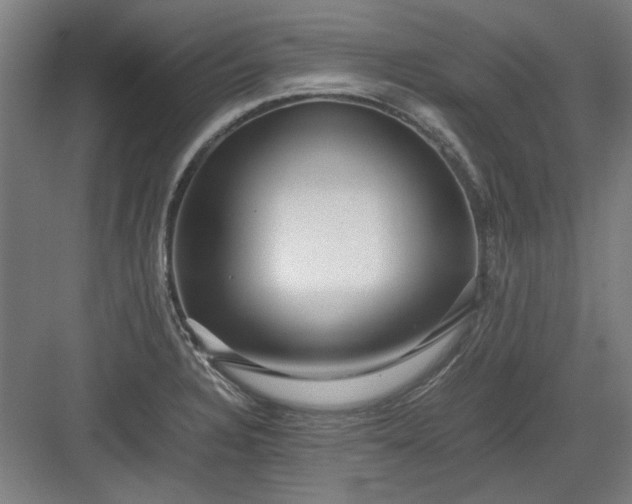 X0000082941328200702152204