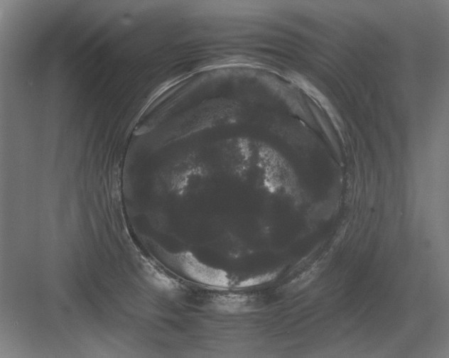 X0000082941329200702152204