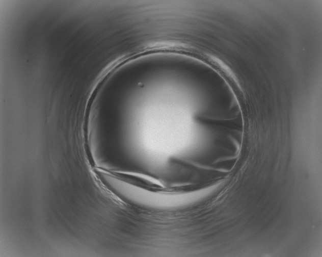 X0000082941330200702152204