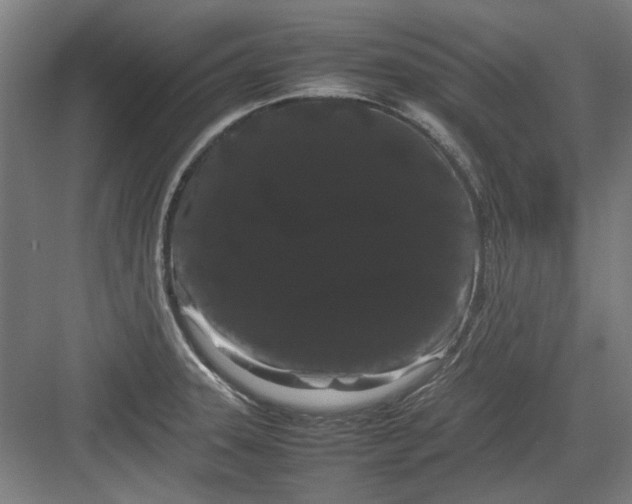 X0000082941331200702152204