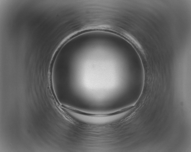 X0000082941332200702152204