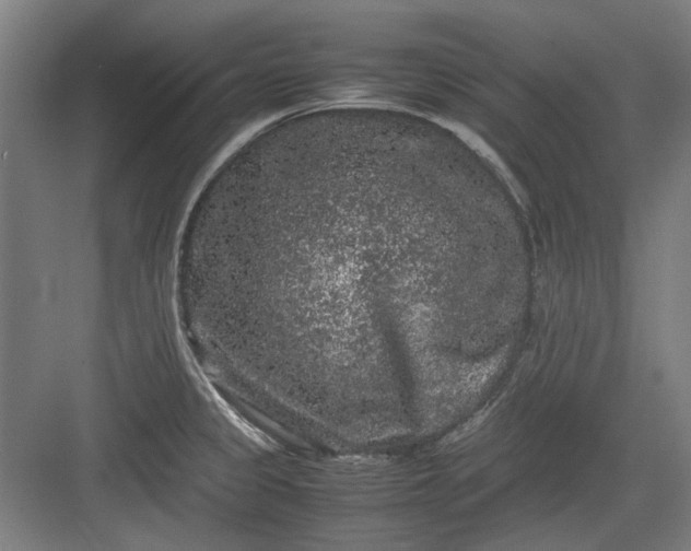 X0000082941333200702152204