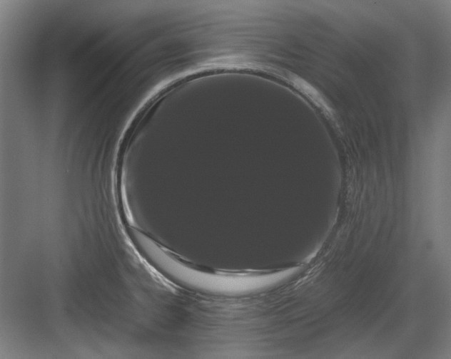 X0000082941334200702152204