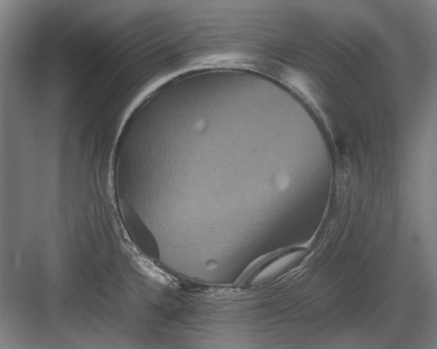 X0000082941336200702152204