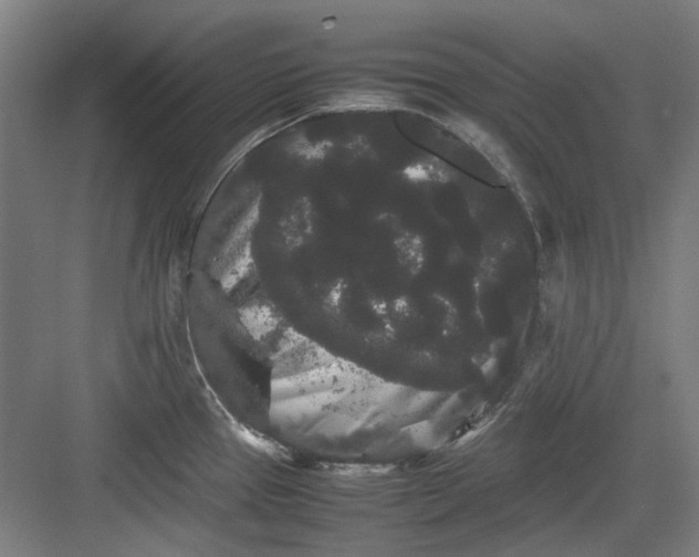 X0000082941337200702152204