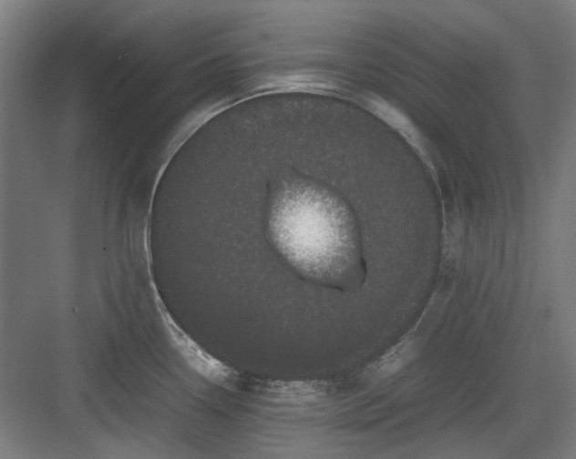 X0000082941338200702152204