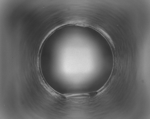 X0000082941340200702152204