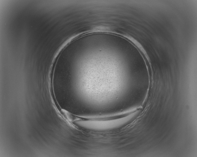 X0000082941341200702152204