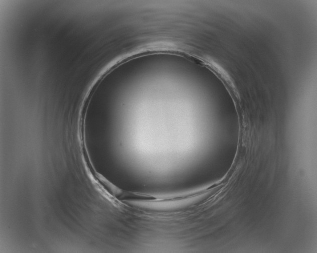 X0000082941342200702152204