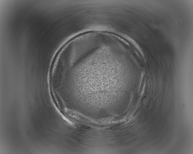 X0000082941343200702152204