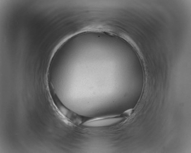 X0000082941344200702152204