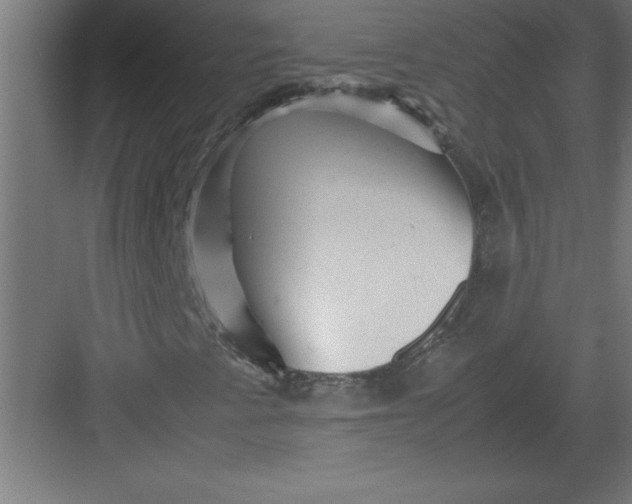 X0000082941345200702152203