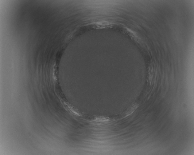 X0000082941346200702152203