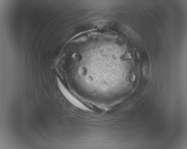 X0000082941347200702152203