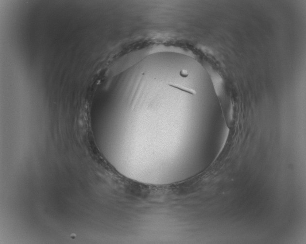 X0000082941349200702152203