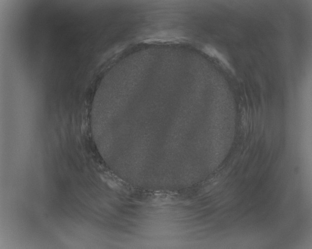 X0000082941350200702152203