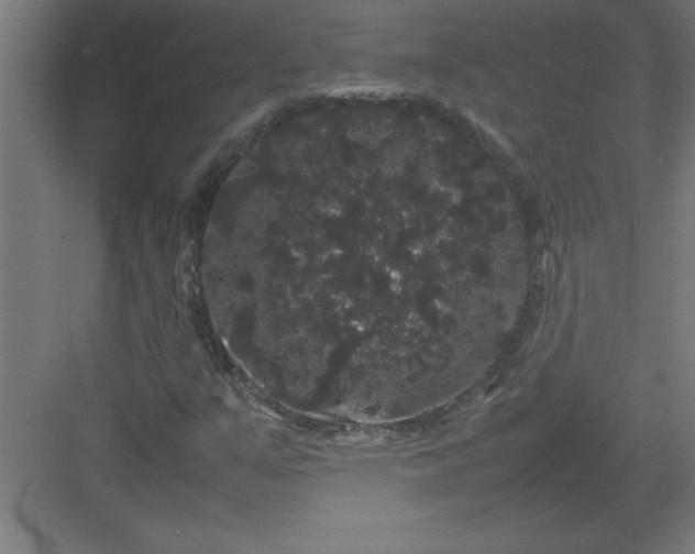 X0000082941351200702152203