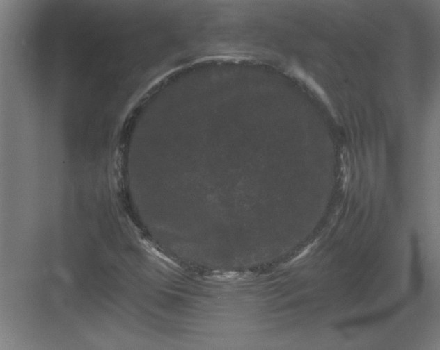 X0000082941352200702152203