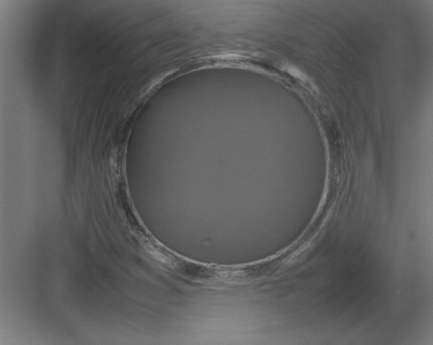 X0000082941353200702152203