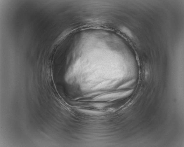 X0000082941354200702152203