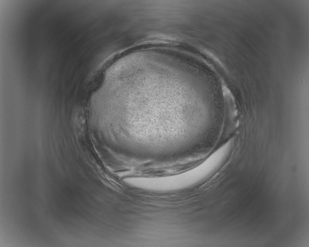 X0000082941355200702152203