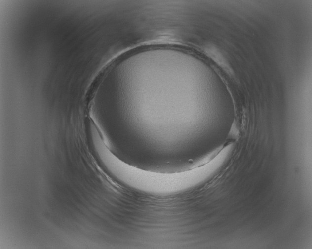 X0000082941356200702152203