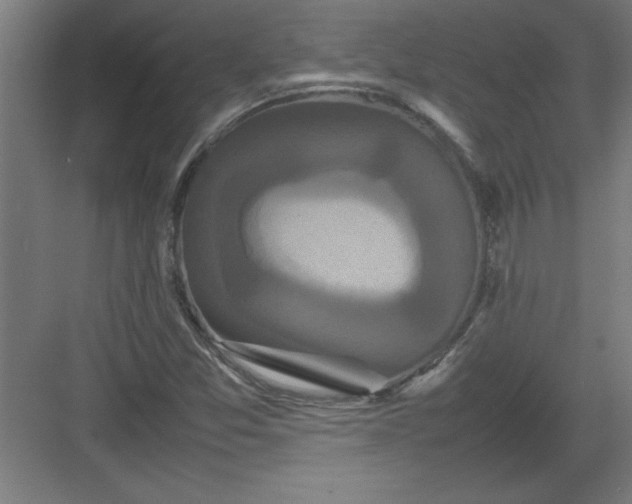 X0000082941357200702152203