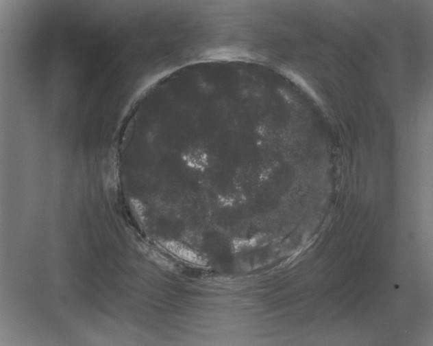 X0000082941358200702152203