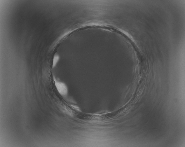 X0000082941359200702152203