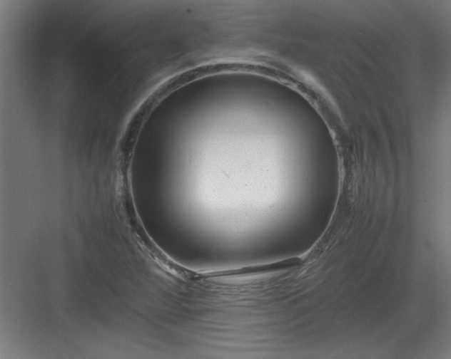 X0000082941360200702152203