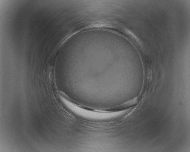 X0000082941361200702152203