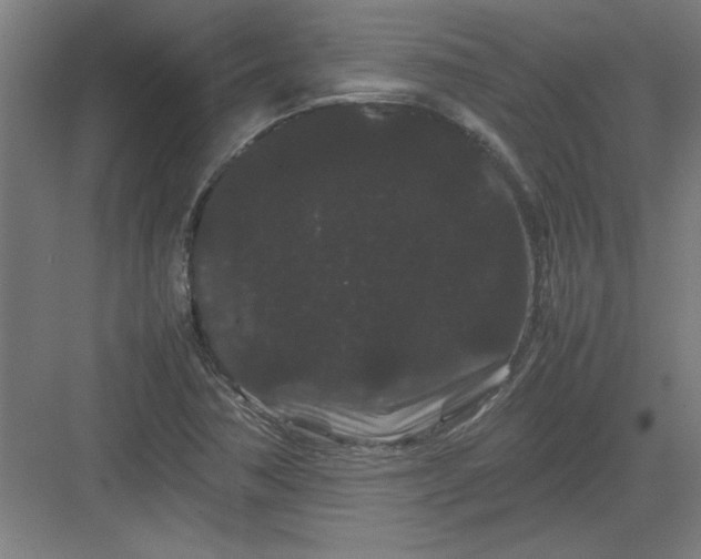 X0000082941362200702152203