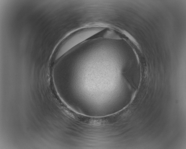 X0000082941364200702152203