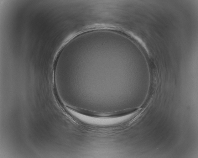 X0000082941365200702152203