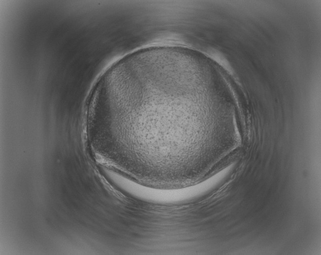 X0000082941366200702152203