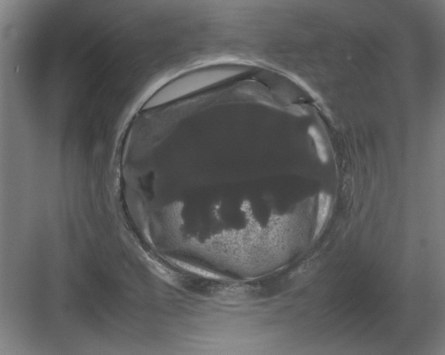 X0000082941367200702152203