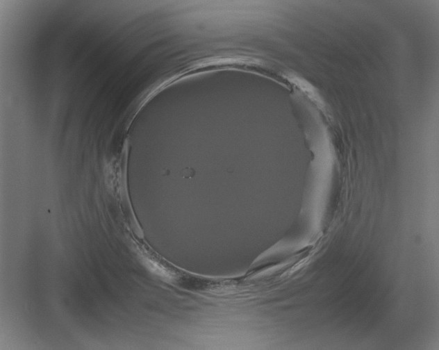 X0000082941369200702152203