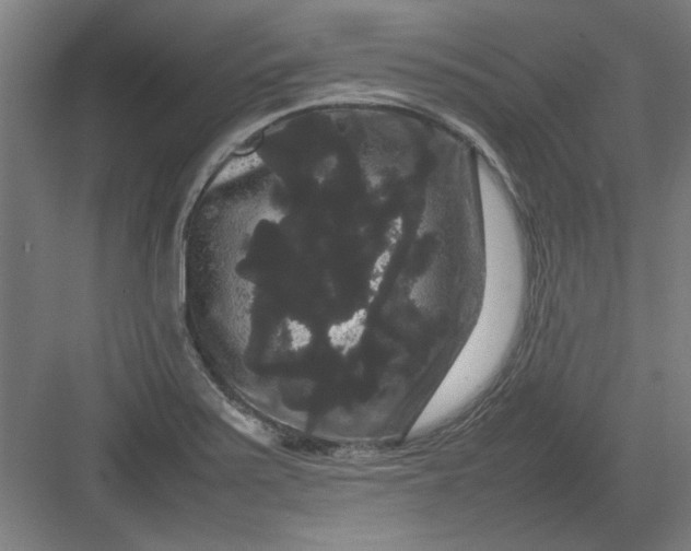 X0000082941371200702152203