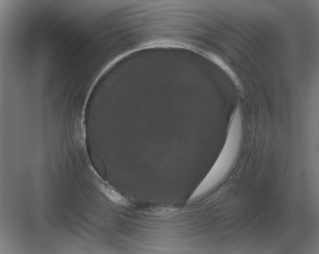 X0000082941372200702152203