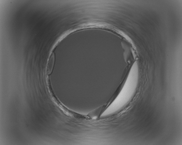 X0000082941373200702152203