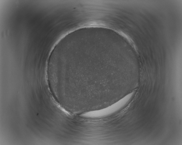 X0000082941374200702152203