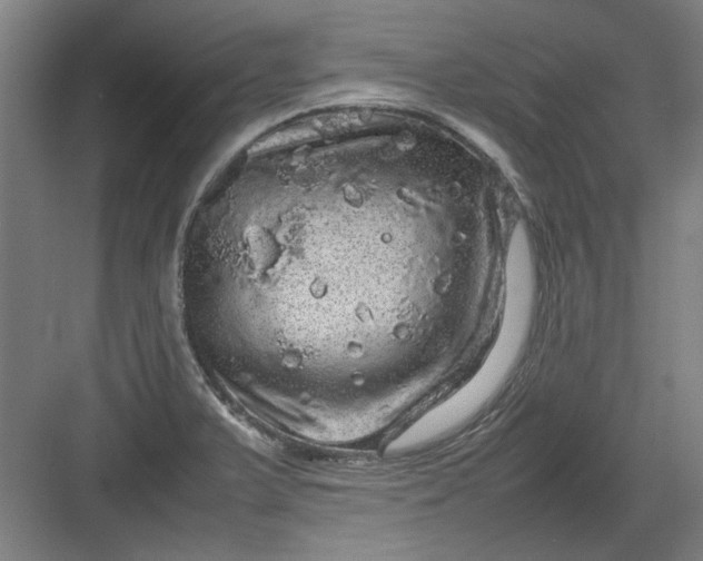 X0000082941375200702152203