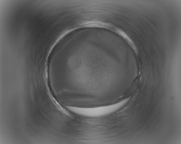 X0000082941376200702152203