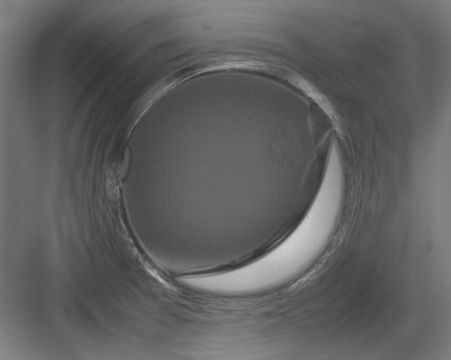 X0000082941377200702152203