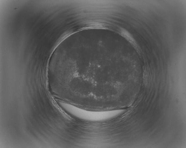 X0000082941378200702152203